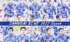 B体育app下载-包含各国球队实力比拼，激烈角逐呈现扣人心弦之势的词条