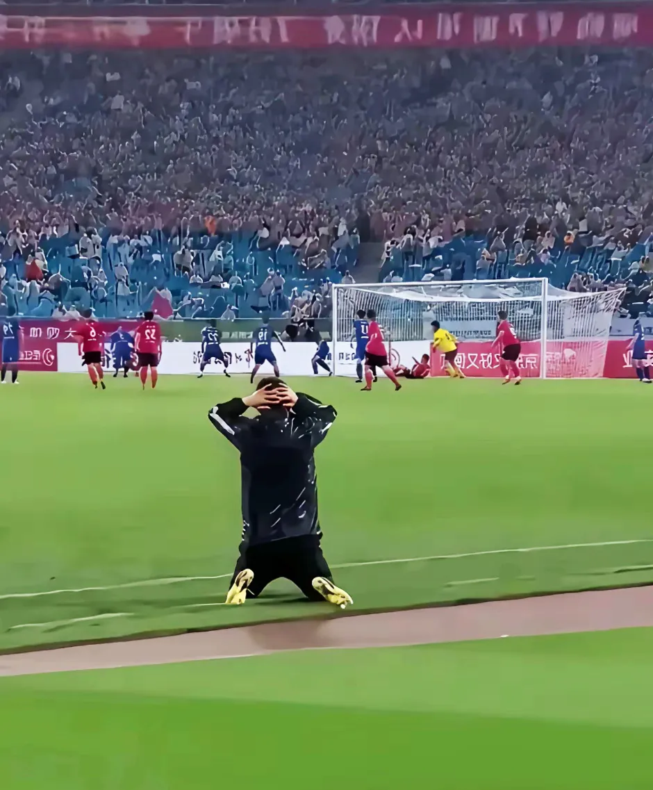 精彩进球瞬间引发球迷狂热，场外掌声不绝的简单介绍